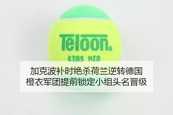 加克波补时绝杀荷兰逆转德国 橙衣军团提前锁定小组头名晋级